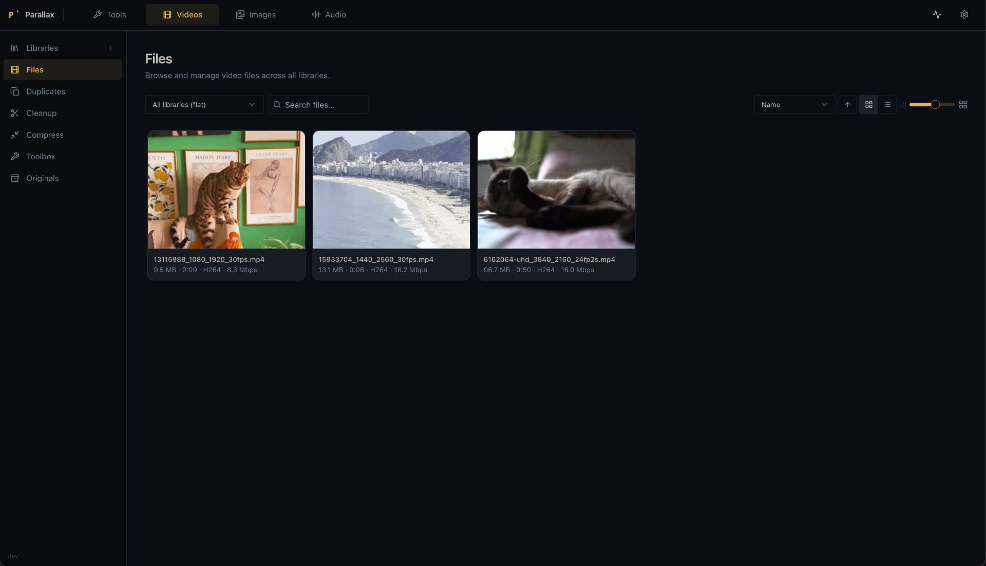 Parallax in action — scanning a library, filtering files, and compressing video